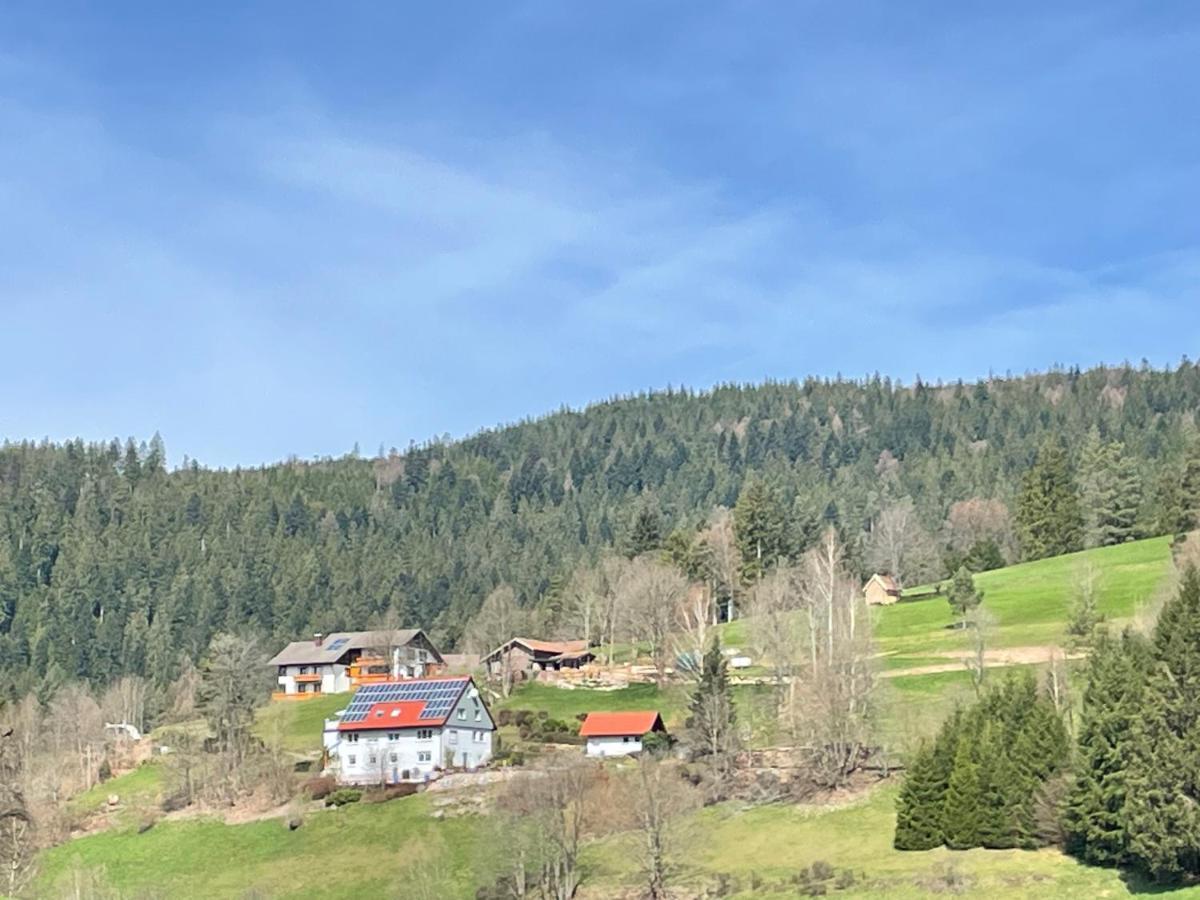 Appartamento Altes Berghaus Obertal  Esterno foto