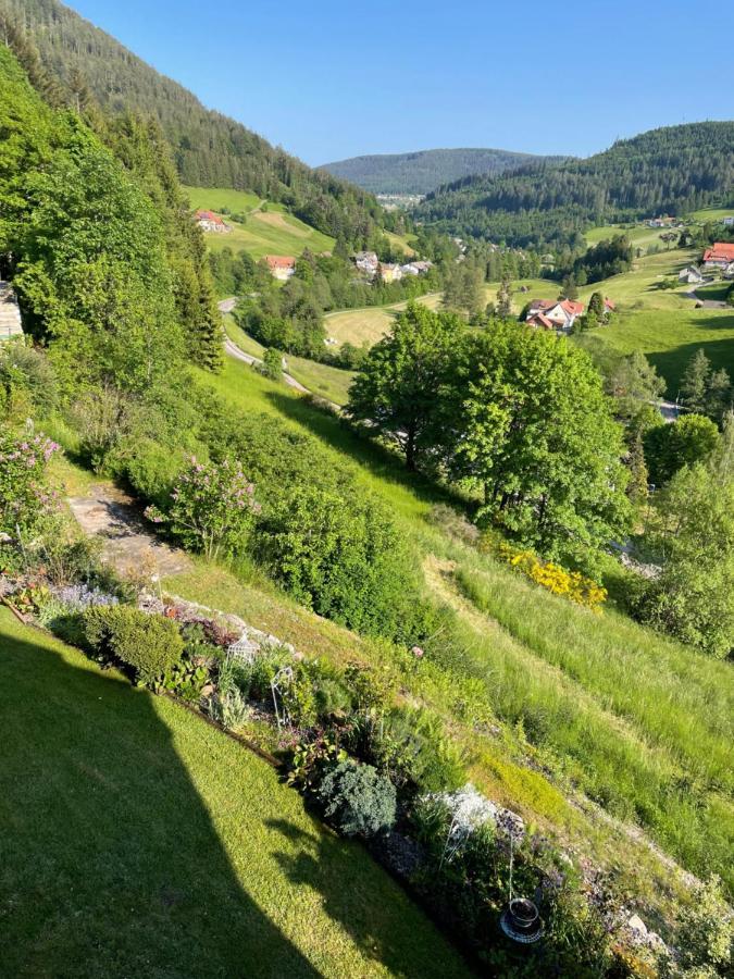 Appartamento Altes Berghaus Obertal  Esterno foto