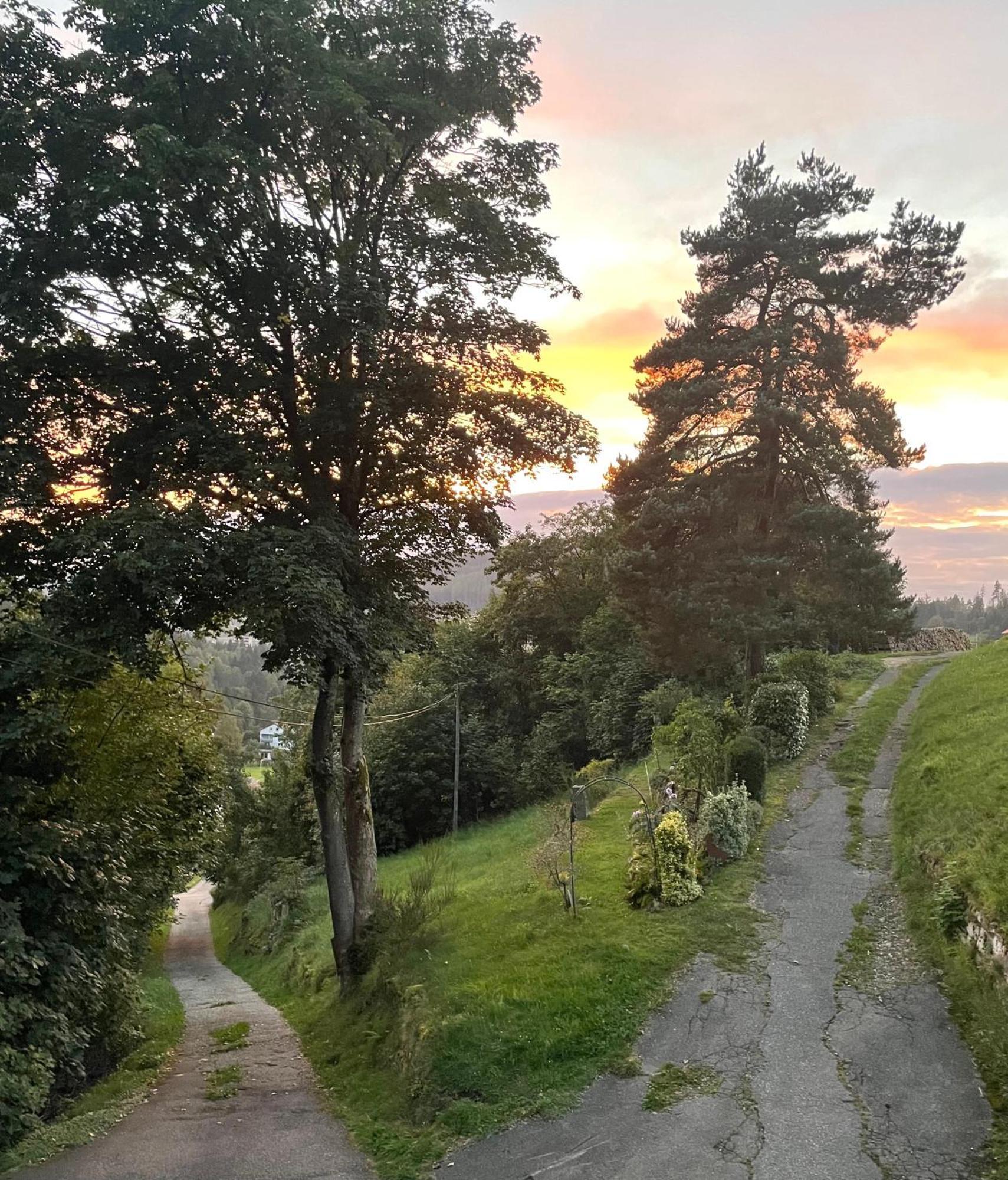 Appartamento Altes Berghaus Obertal  Esterno foto