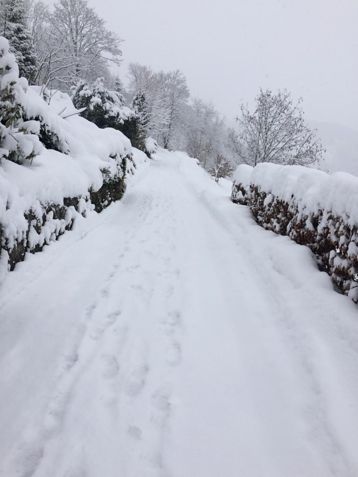 Appartamento Altes Berghaus Obertal  Esterno foto