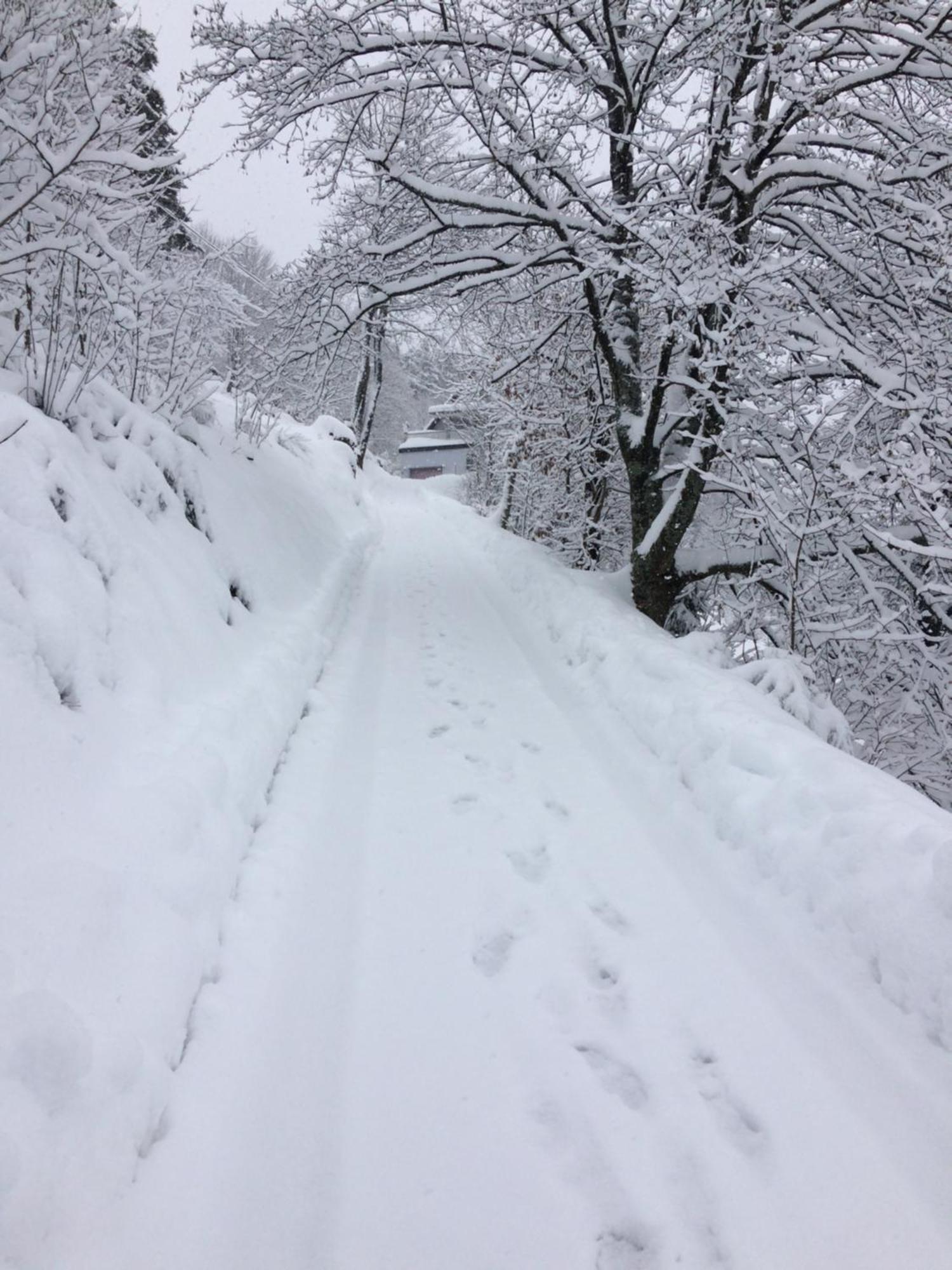Appartamento Altes Berghaus Obertal  Esterno foto